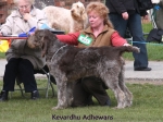 Filename=K-Adhewans.jpg
Filesize=65KiB
Dimensions=600x450
Date added=Sep 16, 2009 K-Adhewans.jpg