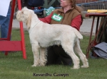Filename=K-Caswyn.jpg
Filesize=56KiB
Dimensions=600x450
Date added=Sep 16, 2009 K-Caswyn.jpg