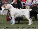 Filename=K-Newl.jpg
Filesize=59KiB
Dimensions=600x450
Date added=Sep 16, 2009 K-Newl.jpg