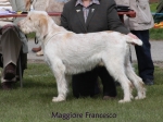 Filename=M-Francesco.jpg
Filesize=54KiB
Dimensions=600x450
Date added=Sep 16, 2009 M-Francesco.jpg