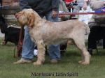 Filename=M-LatinSpirit.jpg
Filesize=55KiB
Dimensions=600x450
Date added=Sep 16, 2009 M-LatinSpirit.jpg