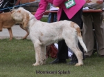 Filename=M-Splash.jpg
Filesize=51KiB
Dimensions=600x450
Date added=Sep 16, 2009 M-Splash.jpg
