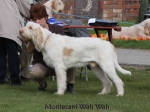 Filename=M-WahWah.jpg
Filesize=54KiB
Dimensions=600x450
Date added=Sep 16, 2009 M-WahWah.jpg