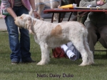 Filename=N-DaisyDuke.jpg
Filesize=57KiB
Dimensions=600x450
Date added=Sep 16, 2009 N-DaisyDuke.jpg
