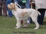 Filename=N-UnaNuovaPagina.jpg
Filesize=55KiB
Dimensions=600x450
Date added=Sep 16, 2009 N-UnaNuovaPagina.jpg