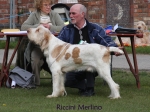 Filename=R-Merlino.jpg
Filesize=65KiB
Dimensions=600x450
Date added=Sep 16, 2009 R-Merlino.jpg