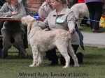 Filename=W-RubyTuesday.jpg
Filesize=61KiB
Dimensions=600x450
Date added=Sep 16, 2009 W-RubyTuesday.jpg