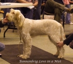 Filename=B-LoveInAMist.jpg
Filesize=57KiB
Dimensions=600x529
Date added=Sep 16, 2009 B-LoveInAMist.jpg