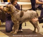 Filename=B-MurphysLaw.jpg
Filesize=59KiB
Dimensions=600x521
Date added=Sep 16, 2009 B-MurphysLaw.jpg