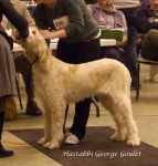 Filename=H-GeorgeGoulet.jpg
Filesize=66KiB
Dimensions=600x629
Date added=Sep 16, 2009 H-GeorgeGoulet.jpg
