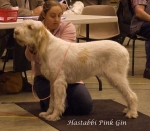 Filename=H-PinkGin.jpg
Filesize=51KiB
Dimensions=600x524
Date added=Sep 16, 2009 H-PinkGin.jpg