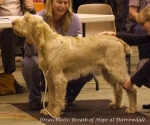 Filename=O-BreathOfHope.jpg
Filesize=54KiB
Dimensions=600x500
Date added=Sep 16, 2009 O-BreathOfHope.jpg