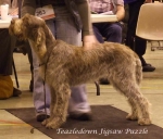 Filename=T-JigsawPuzzle.jpg
Filesize=56KiB
Dimensions=600x514
Date added=Sep 16, 2009 T-JigsawPuzzle.jpg