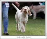 Filename=A-Asriel-2.jpg
Filesize=111KiB
Dimensions=760x637
Date added=Sep 17, 2009 A-Asriel-2.jpg