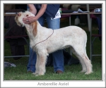 Filename=A-Asriel.jpg
Filesize=97KiB
Dimensions=760x637
Date added=Sep 17, 2009 A-Asriel.jpg
