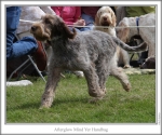 Filename=A-MindYerHandbag.jpg
Filesize=137KiB
Dimensions=760x637
Date added=Sep 17, 2009 A-MindYerHandbag.jpg