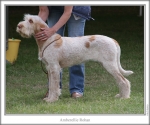 Filename=A-Rohan-2.jpg
Filesize=114KiB
Dimensions=760x637
Date added=Sep 17, 2009 A-Rohan-2.jpg