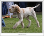Filename=A-Rohan-3.jpg
Filesize=119KiB
Dimensions=760x637
Date added=Sep 17, 2009 A-Rohan-3.jpg
