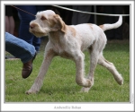 Filename=A-Rohan.jpg
Filesize=114KiB
Dimensions=760x637
Date added=Sep 17, 2009 A-Rohan.jpg