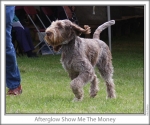 Filename=A-ShowMeTheMoney-2.jpg
Filesize=116KiB
Dimensions=760x637
Date added=Sep 17, 2009 A-ShowMeTheMoney-2.jpg
