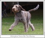 Filename=A-ShowMeTheMoney-3.jpg
Filesize=108KiB
Dimensions=760x637
Date added=Sep 17, 2009 A-ShowMeTheMoney-3.jpg