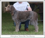 Filename=A-ShowMeTheMoney.jpg
Filesize=111KiB
Dimensions=760x637
Date added=Sep 17, 2009 A-ShowMeTheMoney.jpg