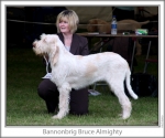 Filename=B-BruceAlmighty.jpg
Filesize=88KiB
Dimensions=760x637
Date added=Sep 17, 2009 B-BruceAlmighty.jpg