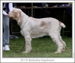 Filename=B-Daydream-2.jpg
Filesize=108KiB
Dimensions=760x637
Date added=Sep 17, 2009 B-Daydream-2.jpg