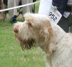 Filename=B-Daydream51.JPG
Filesize=62KiB
Dimensions=600x552
Date added=Sep 17, 2009 B-Daydream51.JPG