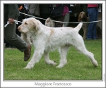 Filename=M-Francesco-2.jpg
Filesize=117KiB
Dimensions=760x637
Date added=Sep 17, 2009 M-Francesco-2.jpg