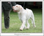 Filename=M-Francesco-3.jpg
Filesize=110KiB
Dimensions=760x637
Date added=Sep 17, 2009 M-Francesco-3.jpg