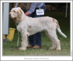 Filename=M-Splash.jpg
Filesize=105KiB
Dimensions=760x637
Date added=Sep 17, 2009 M-Splash.jpg