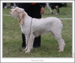 Filename=R-Cristal.jpg
Filesize=107KiB
Dimensions=760x637
Date added=Sep 17, 2009 R-Cristal.jpg