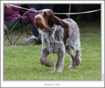 Filename=R-Fable-2.jpg
Filesize=113KiB
Dimensions=760x637
Date added=Sep 17, 2009 R-Fable-2.jpg