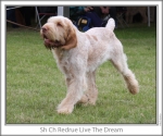 Filename=R-LiveTheDream-2.jpg
Filesize=116KiB
Dimensions=760x637
Date added=Sep 17, 2009 R-LiveTheDream-2.jpg