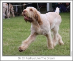 Filename=R-LiveTheDream-3.jpg
Filesize=116KiB
Dimensions=760x637
Date added=Sep 17, 2009 R-LiveTheDream-3.jpg