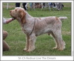 Filename=R-LiveTheDream.jpg
Filesize=129KiB
Dimensions=760x637
Date added=Sep 17, 2009 R-LiveTheDream.jpg