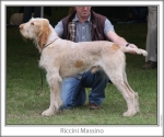 Filename=R-Massino.jpg
Filesize=104KiB
Dimensions=760x637
Date added=Sep 17, 2009 R-Massino.jpg