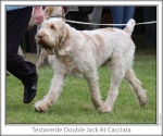 Filename=T-DoubleJack-2.jpg
Filesize=112KiB
Dimensions=760x637
Date added=Sep 17, 2009 T-DoubleJack-2.jpg