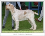 Filename=B-Daydream.jpg
Filesize=123KiB
Dimensions=868x698
Date added=Sep 17, 2009 B-Daydream.jpg