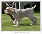 Filename=B-LikelyLad-3.jpg
Filesize=141KiB
Dimensions=868x698
Date added=Sep 17, 2009 B-LikelyLad-3.jpg