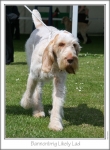 Filename=B-LikelyLad-5.jpg
Filesize=142KiB
Dimensions=668x907
Date added=Sep 17, 2009 B-LikelyLad-5.jpg