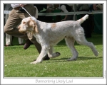Filename=B-LikelyLad.jpg
Filesize=115KiB
Dimensions=868x698
Date added=Sep 17, 2009 B-LikelyLad.jpg