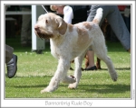 Filename=B-RudeBoy-2.jpg
Filesize=132KiB
Dimensions=868x698
Date added=Sep 17, 2009 B-RudeBoy-2.jpg