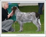 Filename=C-Beretta.jpg
Filesize=126KiB
Dimensions=868x698
Date added=Sep 17, 2009 C-Beretta.jpg