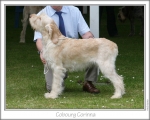 Filename=C-Corinna.jpg
Filesize=124KiB
Dimensions=868x698
Date added=Sep 17, 2009 C-Corinna.jpg