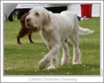 Filename=C-DecemberDreaming-2.jpg
Filesize=137KiB
Dimensions=868x698
Date added=Sep 17, 2009 C-DecemberDreaming-2.jpg