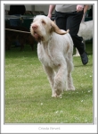 Filename=C-Vervet.jpg
Filesize=108KiB
Dimensions=668x907
Date added=Sep 17, 2009 C-Vervet.jpg