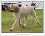 Filename=F-BlondeAmbition-3.jpg
Filesize=120KiB
Dimensions=868x698
Date added=Sep 17, 2009 F-BlondeAmbition-3.jpg