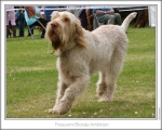 Filename=F-BlondeAmbition-4.jpg
Filesize=124KiB
Dimensions=868x698
Date added=Sep 17, 2009 F-BlondeAmbition-4.jpg